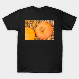 Two pumpkins T-Shirt